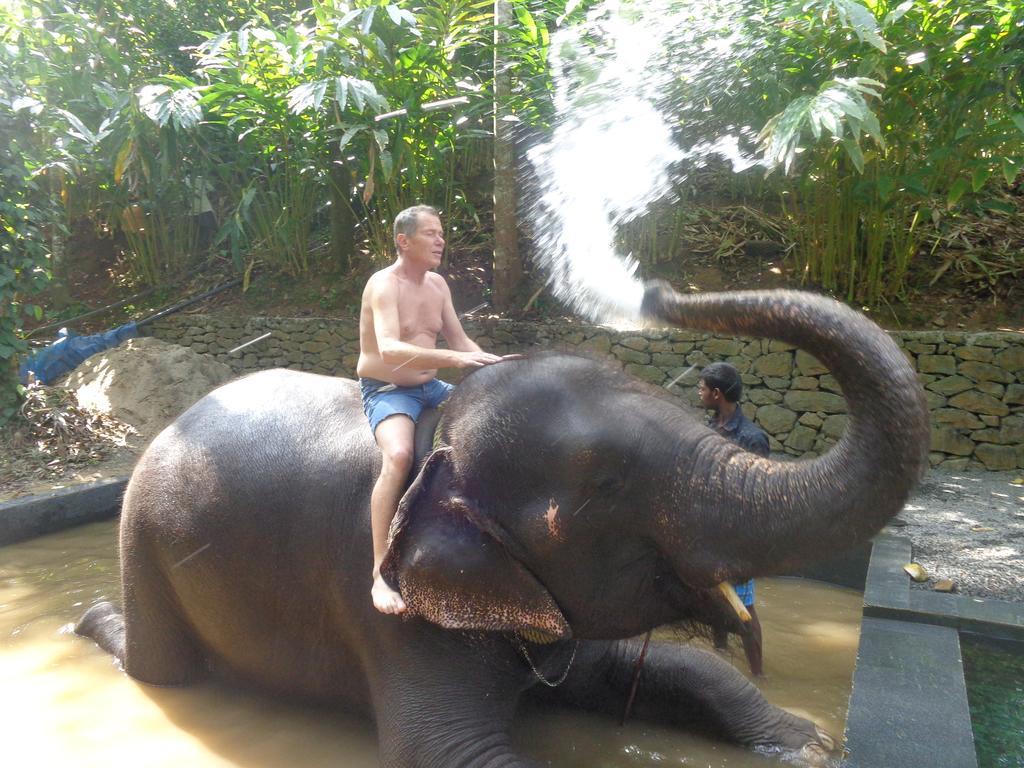 Jungleparadiso Homestay Thekkady Luaran gambar