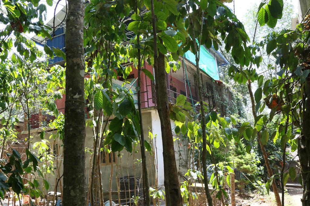 Jungleparadiso Homestay Thekkady Luaran gambar